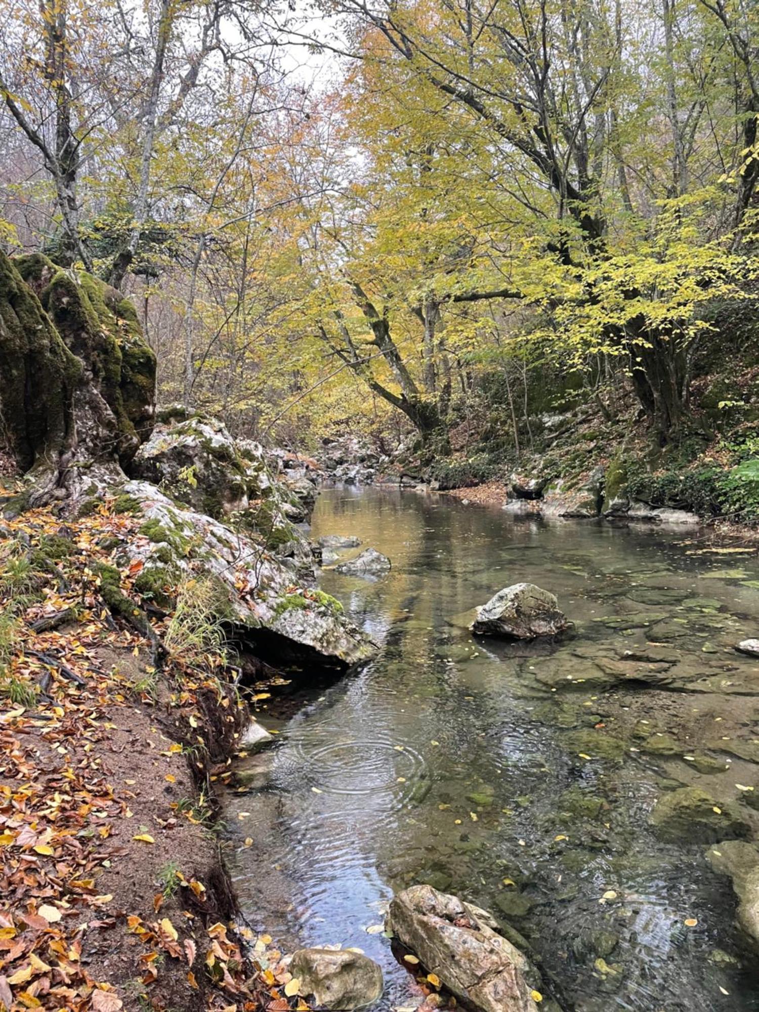 Mooie Bungalow In De Prachtige Natuur Hastiere-par-dela Esterno foto